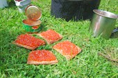 Там царь Кащей над златом чахнет